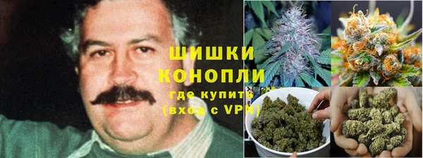 гашик Покровск