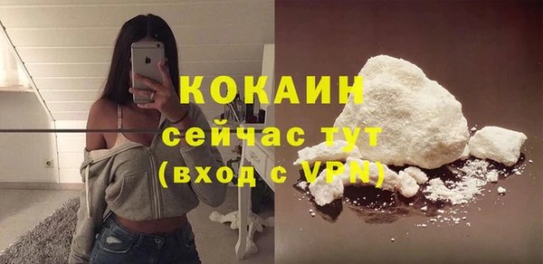 гашик Покровск
