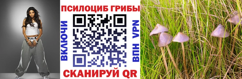 маркетплейс наркотические препараты  Санкт-Петербург  Псилоцибиновые грибы Psilocybine cubensis  блэк спрут онион 