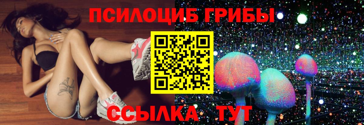 Галлюциногенные грибы мухоморы Санкт-Петербург