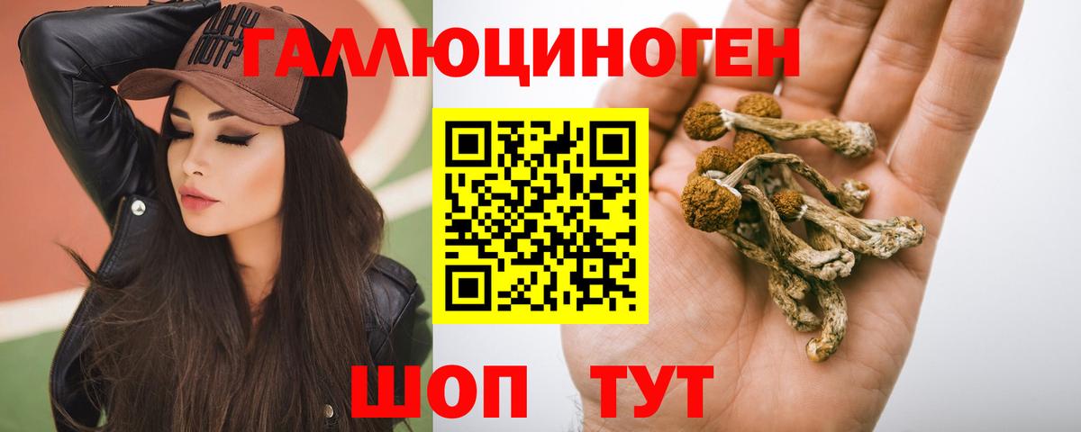 Псилоцибиновые грибы Magic Shrooms  Галлюциногенные грибы Cubensis  Санкт-Петербург  Вход с VPN 